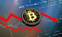 大选悬念再起！哈里斯“接棒”首周募款2亿美元 支持率与特朗普相当